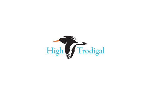 High Trodigal