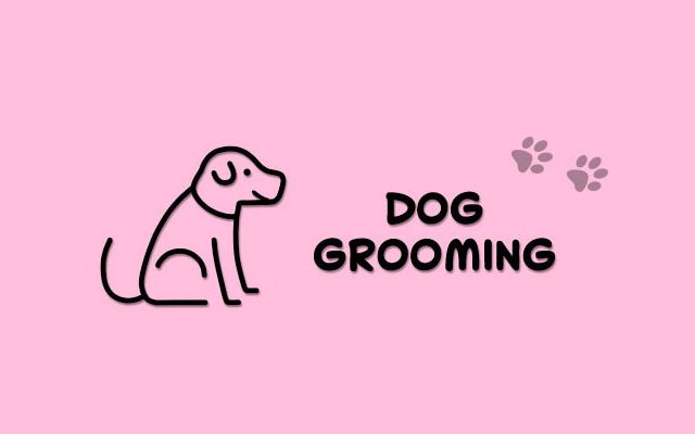 Ashleys Grooming Room
